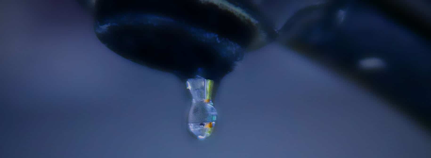 dripping tap