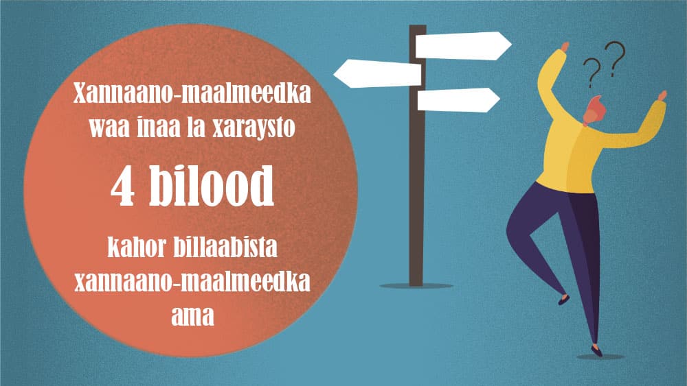 xannaano-maalmeedka waa inaa la xaraysto 4 bilood kahor billaabista xannaano-maalmeedka
